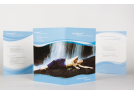 Pur Balance Flyer